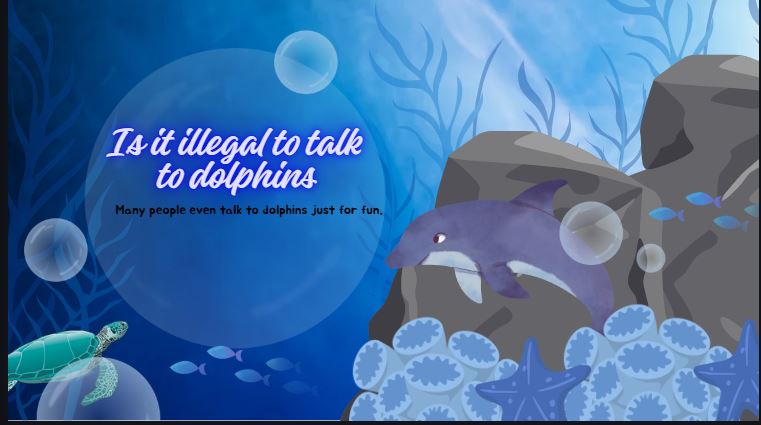 Is it illegal to talk to dolphins